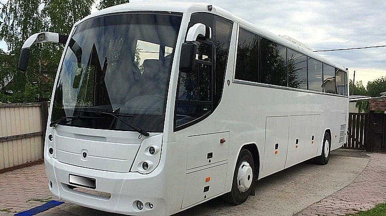 Аренда автобуса Scania ГолАЗ-52911-Круиз на свадьбу